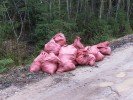 Pašvaldība aicina iedzīvotājus uzturēt novada teritoriju sakārtotu