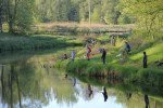 Makšķerēšanas sacensību „Staiceles vimba 2015” nolikums