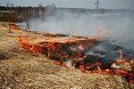 Pašvaldības policija aicina novada teritorijā uzturēt kārtību un ievērot drošības pasākumus