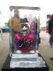 Staiceles MMS audzēkņu mācību ekskursija uz Ledus skulptūru festivālu Jelgavā