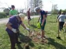 Lielajā talkā labiekārtoja muižu un pilsētu parkus, stādīja, sēja un vāca atkritumus