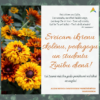 ALOJAS NOVADA DOME SVEIC ZINĪBU DIENĀ!