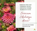 Alojas novada dome sveic Skolotāju dienā!