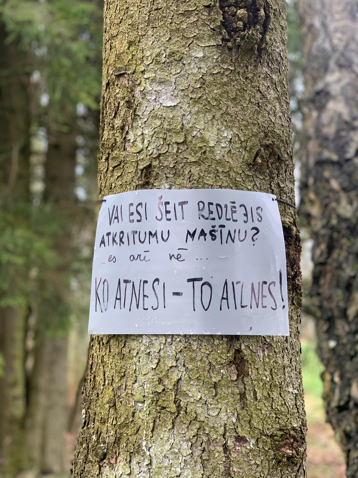 Noslēgusies Alojas un Limbažu novadu jauniešu rīkotā Zaļnedēļa