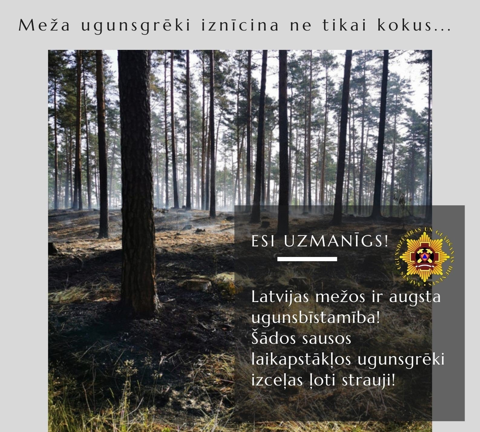 Mežos visā Latvijā ir augsta ugunsbīstamība!